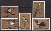 [Birds, Scrivi ADM]