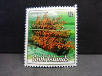 [Cnidarias, type SUX]