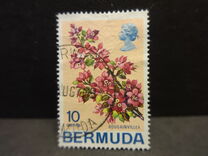 [Flowers, 类型 EI]