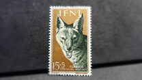 [Stamp Day - Golden Jackal, тып AU]