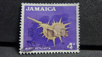 [Local Motifs, type GC]