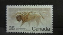 [Endangered Wildlife, type AAE]
