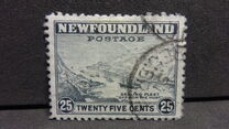 [Newfoundland Issue, type DY1]