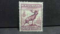 [Newfoundland Issue, type DS]
