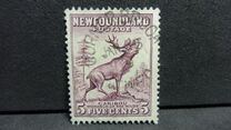 [Newfoundland Issue - New Colors and Values, tip DS1]