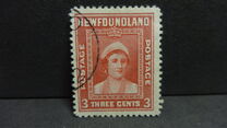 [Royal Family, type FN1]