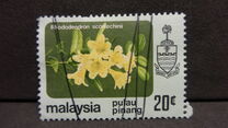 [Flowers, Scrivi AY]