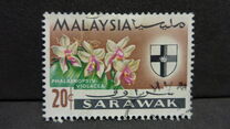 [Orchids, type BQ]