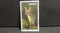 [Wild Mammals, type HI]
