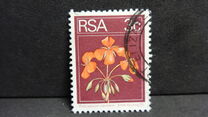 [Flora and Fauna, type NI]
