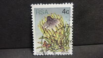 [Flora - Protea Plants, type PJ]