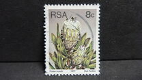 [Flora - Protea Plants, type PN1]