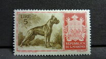 [Dog Breeds, Tip IG]