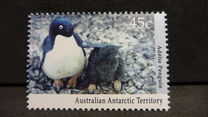 [Antarctic Wildlife, tip CL]