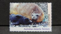 [Antarctic Wildlife, tip CM]