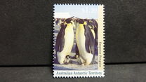[Antarctic Wildlife, tip CP]