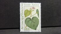 [Medical Herbs, type CU]
