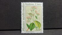[Medical Herbs, type FD]