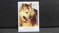 [Departure of Huskies from Antarctica, tegund CT]