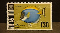 [Marine Life - Fish, type AA]