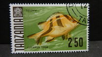 [Marine Life - Fish, type AC]