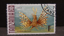 [Marine Life - Fish, type Z]