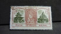 [Festival in Honor of the God "Red Machhindra", type IL]