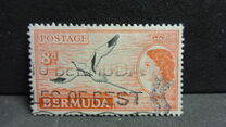 [Local Motives and Queen Elizabeth II, type BF1]