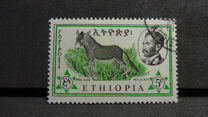 [Ethiopian Fauna, type MH]