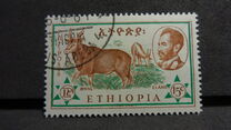 [Ethiopian Fauna, type MI]