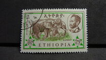 [Ethiopian Fauna, type MJ]