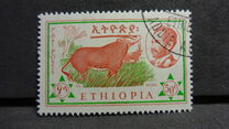 [Ethiopian Fauna, type ML]