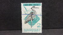[Birds, type TX]