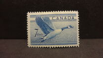 [Birds - Canada Goose, típus GD]