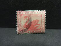 [Black Swan - New Designs, tip K]
