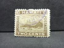 [Local Motifs, 类型 Y]