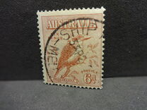 [Kookaburra, type P]