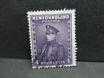 [Newfoundland Issue, type DR]