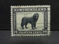 [Newfoundland Issue, type DV]