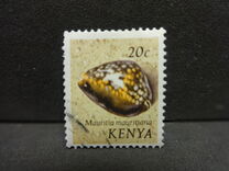 [Seashells, type AM]