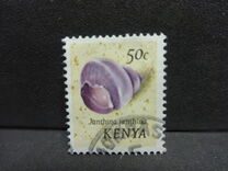 [Seashells, type AP]