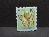 [Butterflies, タイプ RQ]