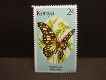 [Butterflies, tyyppi PE]