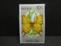 [Butterflies, tyyppi PL]