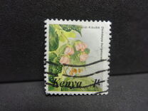 [Flowers, type MA]