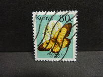 [Butterflies, type PC]