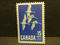 [Canada Geese, տեսակ JI]
