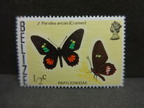 [Butterflies of Belize, type I]