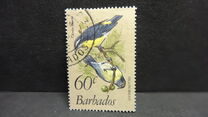 [Birds, Вид OY]