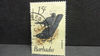 [Birds, Вид OW]